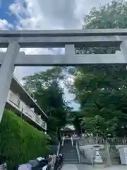 北澤八幡神社の鳥居