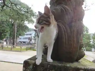 智恩寺(京都府)