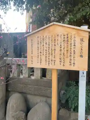 小野照崎神社(東京都)