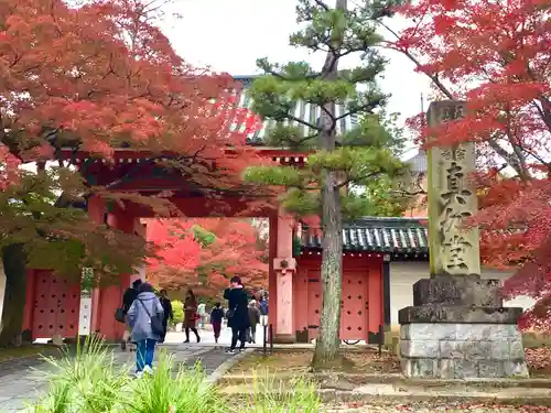 真正極楽寺（真如堂）の山門・神門