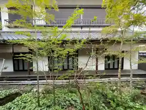 遠照山 光明寺(尼崎大仏)(兵庫県)(2025年04月08日(火) 11時37分15秒投稿)