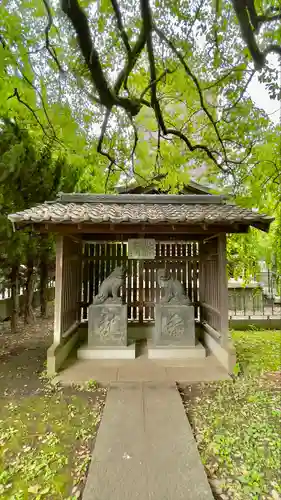 川口神社の狛犬