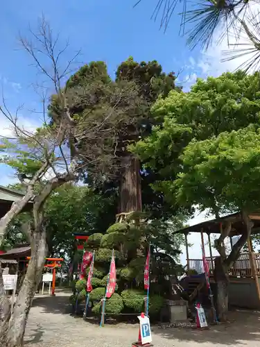 愛宕神社(宮城県)