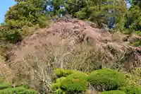 白幡神社の庭園