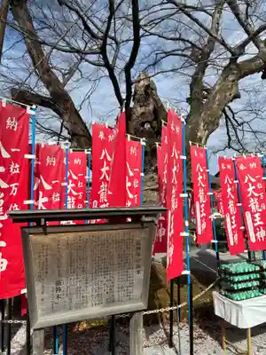 秩父今宮神社(埼玉県)