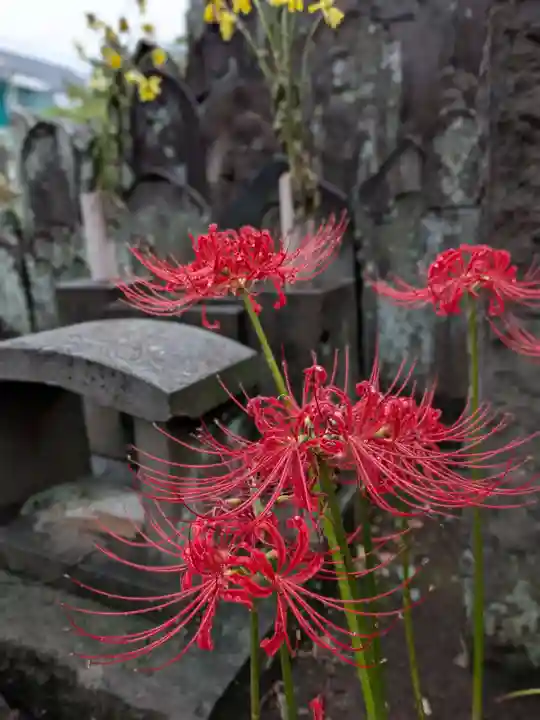 福寿院(東京都)