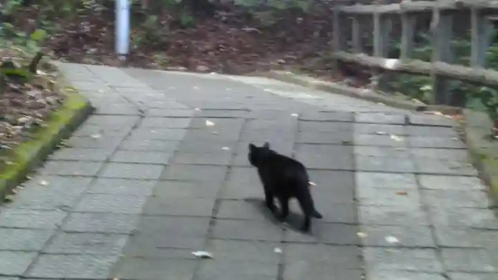 諏訪神社の動物