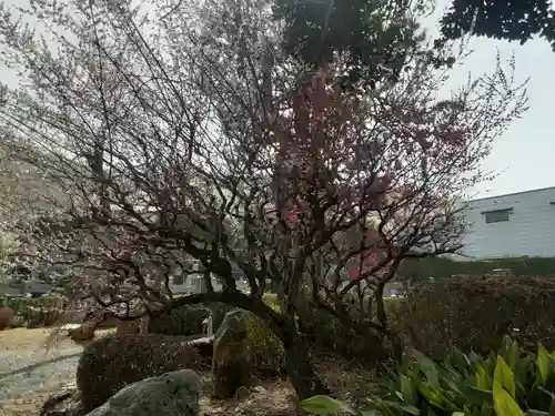 地蔵院(東京都)