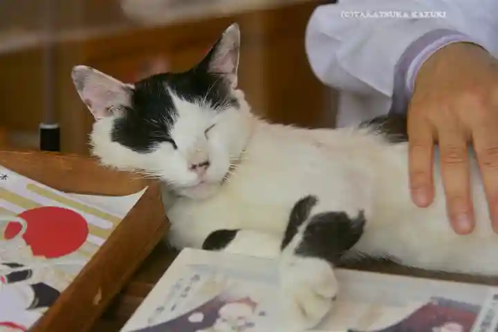 賀茂別雷神社(栃木県)