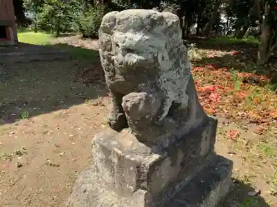 若宮八幡神社の狛犬