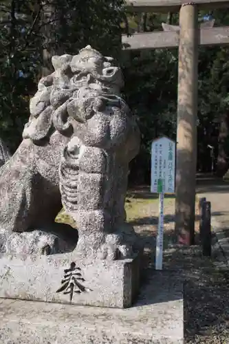 若狭彦神社（上社）の狛犬