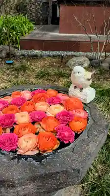 法輪寺の手水舎