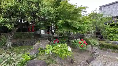 長泉院(埼玉県)