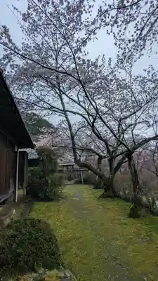 勝持寺（花の寺）(京都府)
