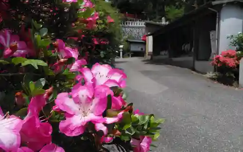 呑山観音寺の自然