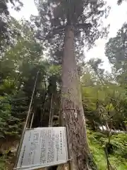 大明見山神社(山梨県)