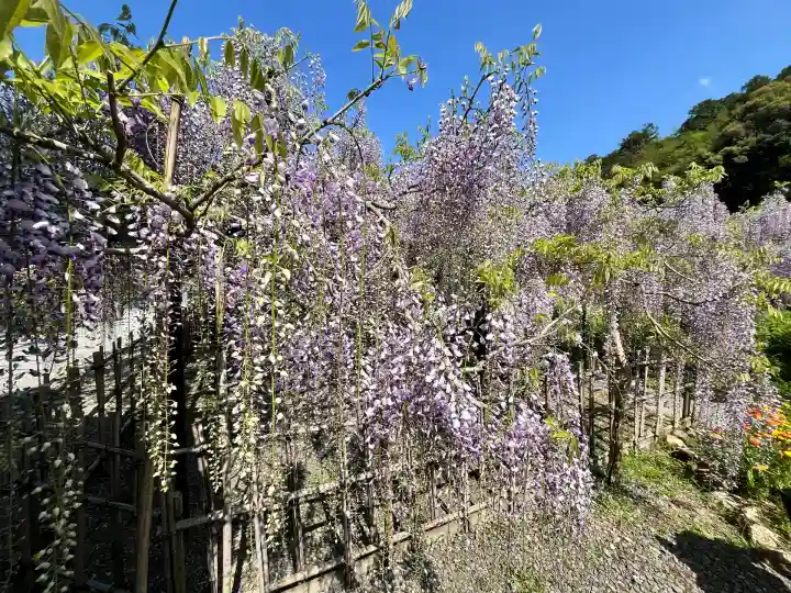 白毫寺熊野権現社(兵庫県)