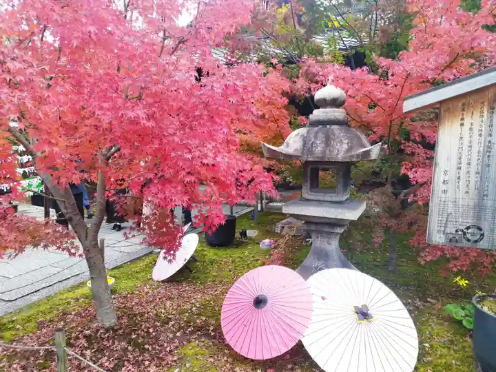 勝林寺(京都府)