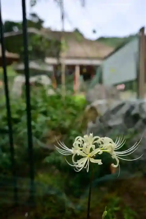宝城坊(神奈川県)