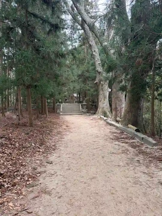 猿投神社の{uncategorized: "未分類", other: "その他", undefined: "問題あり", building: "その他建物", grave: "お墓", sacred_gate: "鳥居", guardian: "狛犬", statue: "像", buddha: "仏像", history: "歴史", nature: "自然", garden: "庭園", animal: "動物", pagoda: "塔", temizu: "手水舎", mountain_gate: "山門・神門", sanctuary: "本殿・本堂", subordinate: "末社・摂社", art: "芸術", scenery: "景色", jizo: "地蔵", ema: "絵馬", goshuin: "御朱印", omikuji: "おみくじ", items: "授与品その他", amulet: "お守り", goshuincho: "御朱印帳", eats: "食事", festival: "お祭り", votive_dance: "神楽", shichigosan: "七五三参", wedding: "結婚式", experience: "体験その他", initially: "初詣", around: "周辺", anti_infection: "感染症対策"}