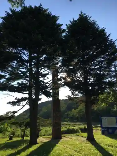 市来知神社の自然