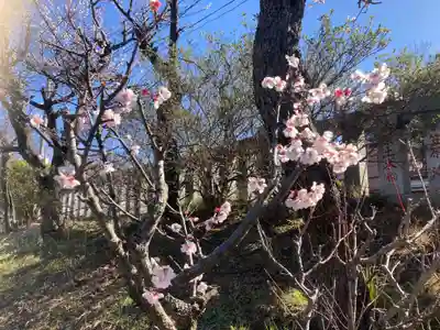 永谷天満宮(神奈川県)