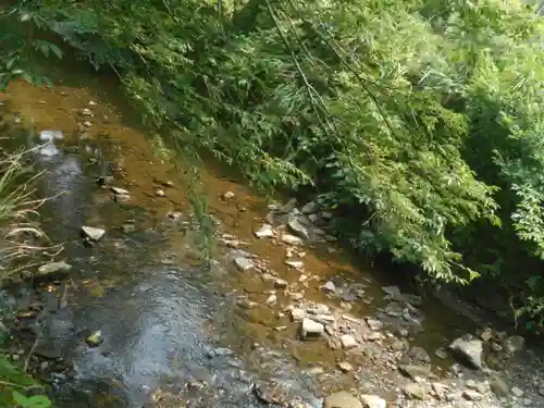 蛭子神社の自然