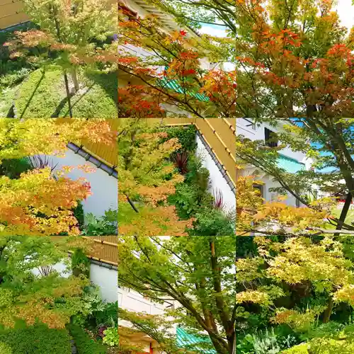 寿量山　速成寺のその他建物