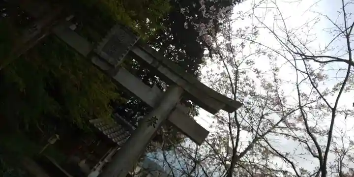 稗田野神社(薭田野神社)(京都府)