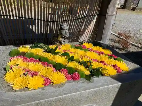 長良神社の手水