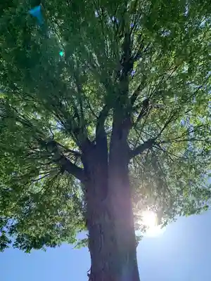 瀧宮神社(埼玉県)