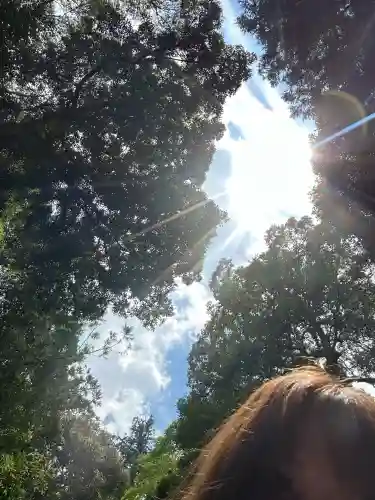 伊勢神宮内宮（皇大神宮）(三重県)