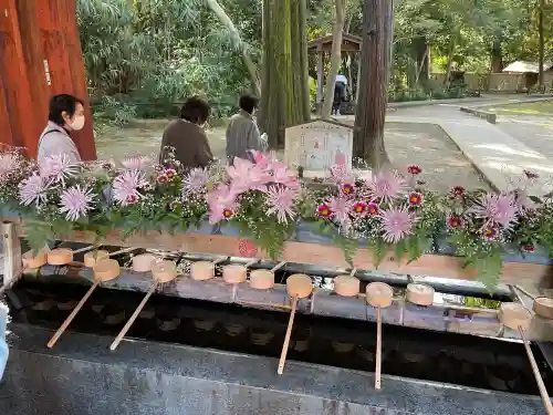 武蔵一宮氷川神社(埼玉県)