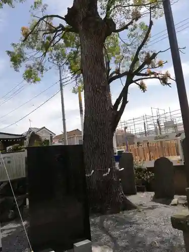 菖蒲神社の自然