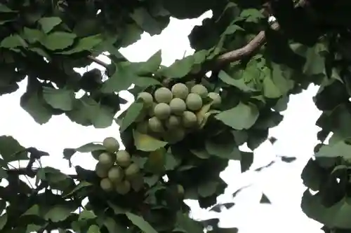 熊野福藏神社(福島県)
