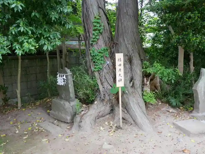 星宮神社(栃木県)