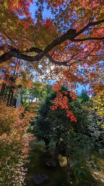 実光院(京都府)