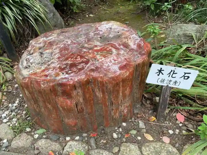 高安寺(東京都)