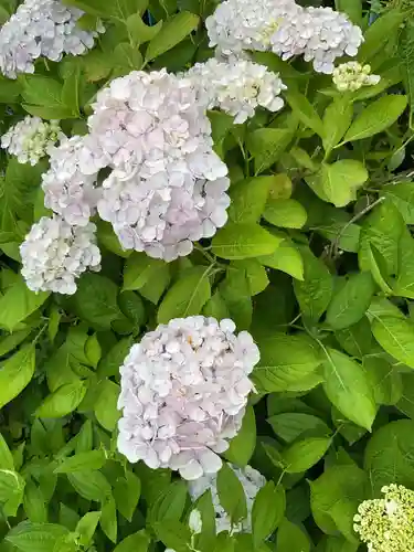 安養寺（弥勒院）(愛知県)