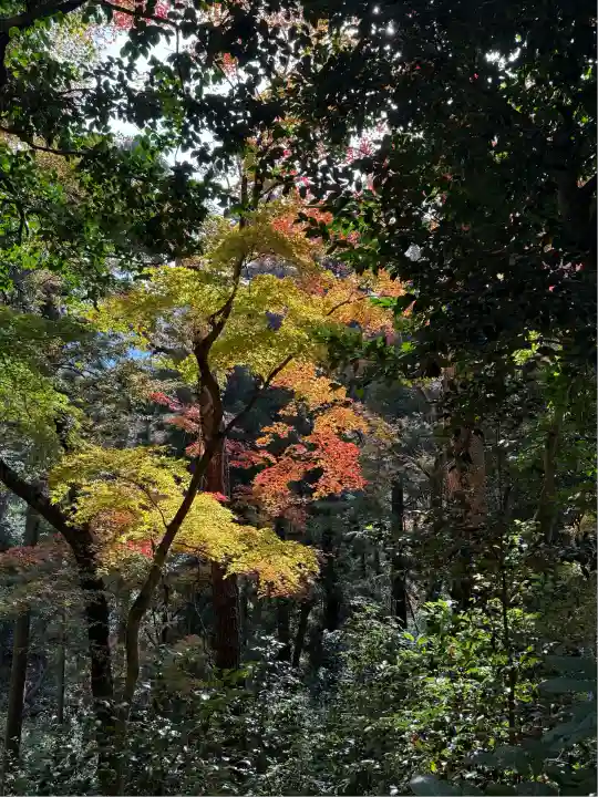 金刀比羅神社(岡山県)