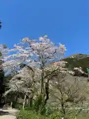 浅川神社(東京都)