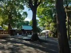 星川杉山神社の建物その他