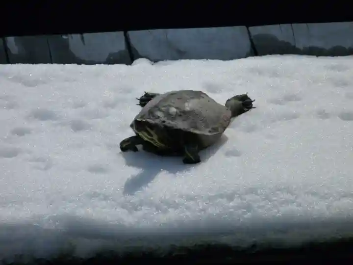 善光寺大勧進(長野県)