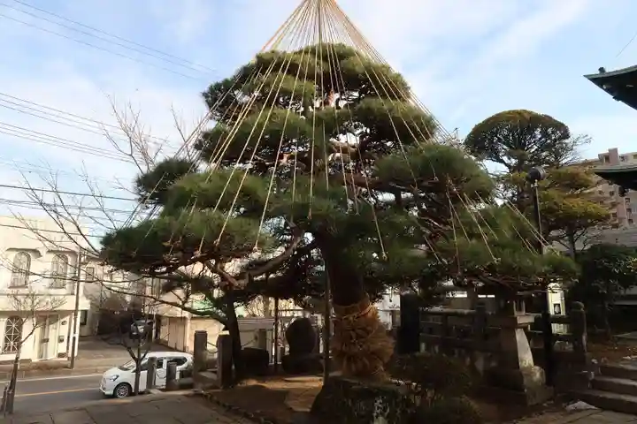 照光寺(長野県)
