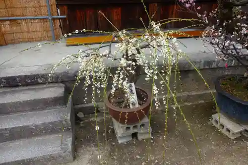 菅原天満宮（菅原神社）の自然