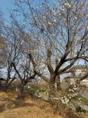  八幡神社(埼玉県)