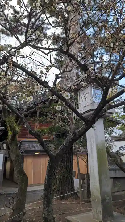 北野天満宮(京都府)