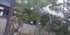 宇良神社(浦嶋神社)(京都府)