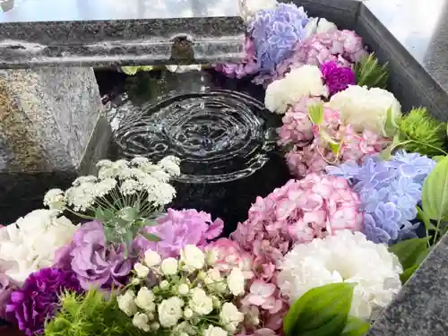 新琴似神社の手水舎