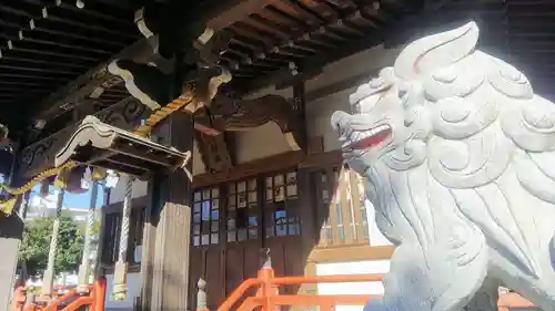 舘氷川神社の狛犬